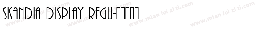 Skandia Display Regu字体转换